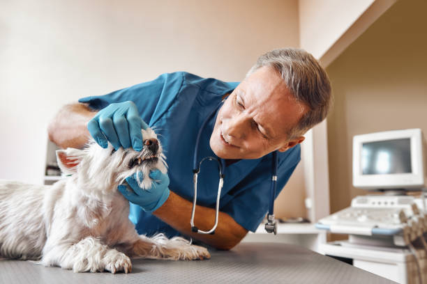 Best Emergency Broken Tooth Repair in Hope Mills, NC